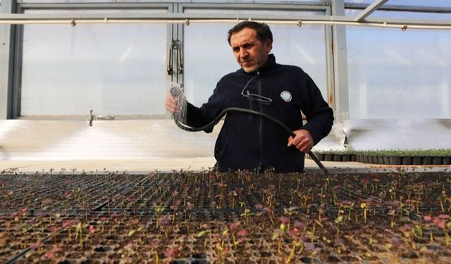 Eskişehir'in yeşil yüzü şehri süslüyor