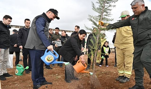 Yeşil Batman için fidan dikim seferberliği devam ediyor