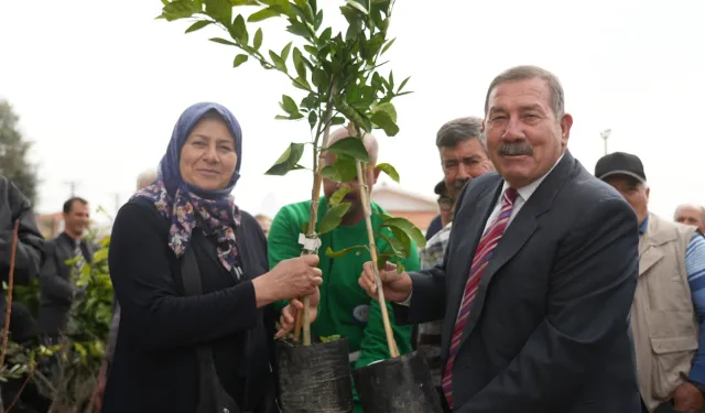 Milas Belediyesi üreticilere fidan desteği sağladı