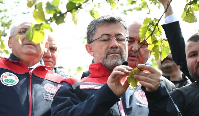 Tarım Bakanı Yumaklı: Zirai don sebebiyle stratejik ürünlerde sıkıntı yok