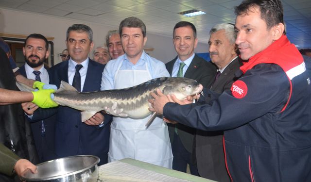 Amasya Valisi Önder Bakan, sezonun ilk mersin balığı sağımını başlattı