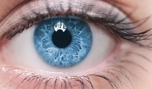 Görme kaybı tarihe karışıyor: Yeni tedavi, retina hasarını onarıyor