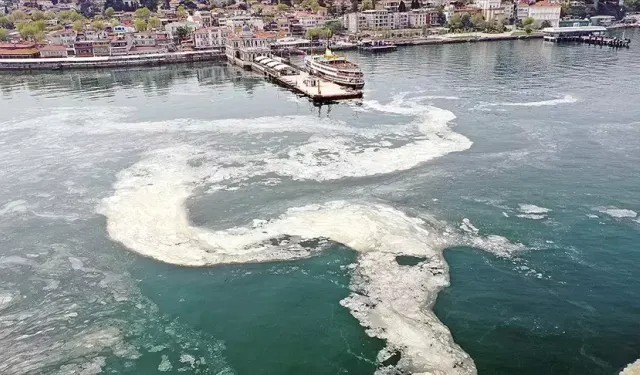 Güney Marmara'da müsilaj balıkçıları zorluyor