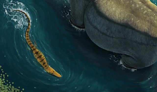 Dinozor avcısı timsah Deinosuchus’un gizemi çözüldü