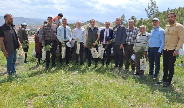 Beypazarı’nda “Orman Benim” etkinliğiyle doğaya sahip çıkıldı