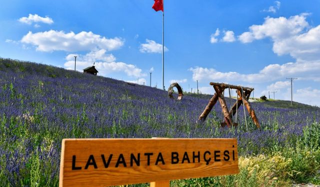 Ankara’nın yeni nefes alanı: ATA Çiftliği 35 bin ziyaretçiyi ağırladı