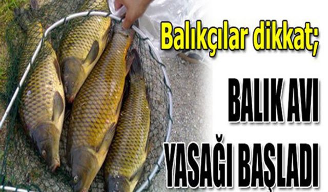 Kars'ta su ürünleri av yasağı başladı
