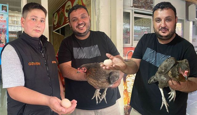 Tavuktan dönerciye sürpriz ziyaret: İçeri girip yumurtladı!