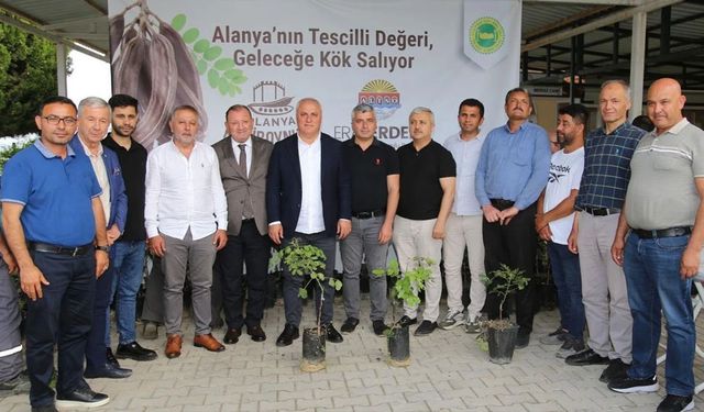 ALTSO keçiboynuzunun tescilini aldı, 3 bin fidan dağıttı