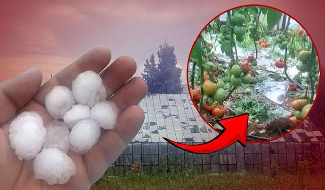 Antalya'da ceviz büyüklüğünde dolu tarım alanlarını vurdu