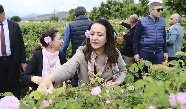 Burdur’da gül kokulu sabah: DoğaFest Lisinia’da gül hasadıyla renklendi