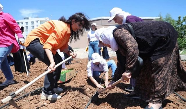 'Kent Kadın Bostanları' projesi Mardin Artuklu’da hayata geçti