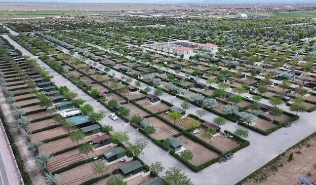 Konya Karatay'da hobi bahçelerinde üretim zamanı