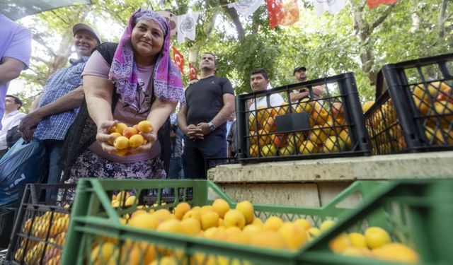 Kayısı Festivali'nde büyük coşku