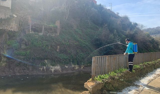 Trabzon Büyükşehir Belediyesi, vektörle mücadeleye hazır