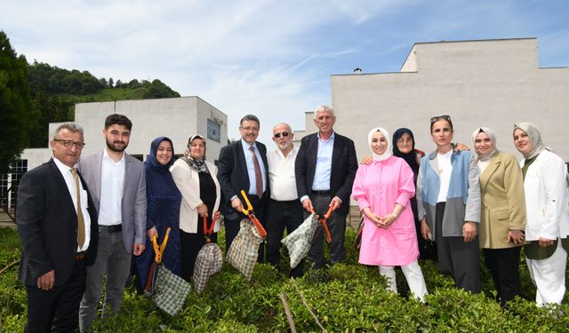 Başkan Genç: Ortahisar'da yeni bir çay fabrikası kuracağız