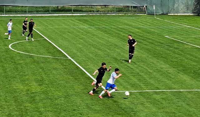 Diyarbekirspor, Ankara Demirspor'a 4-0 yenilerek küme düştü