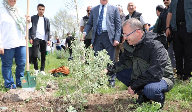 Kars Kafkas Üniversitesinde fidan dikimi etkinliği düzenlendi