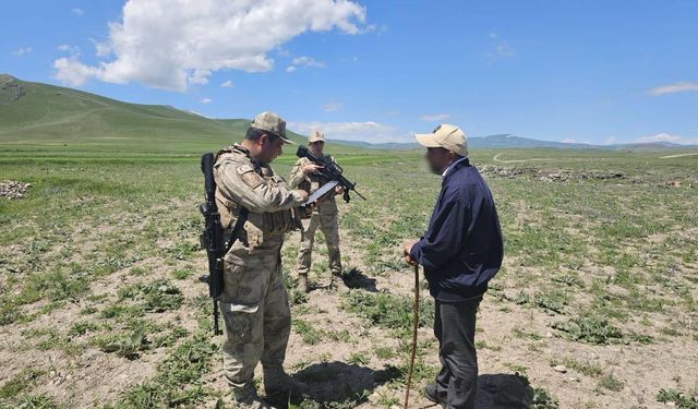Kars'ta huzur ve güven uygulamasında 480 kök kenevir ele geçirildi