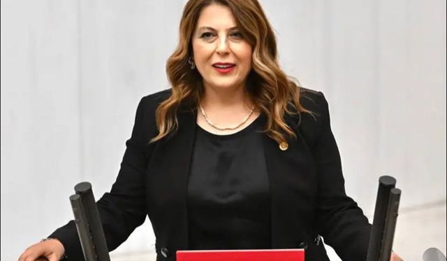 Elvan Işık Gezmiş: Vahşi madencilik köylerimizi etkiliyor