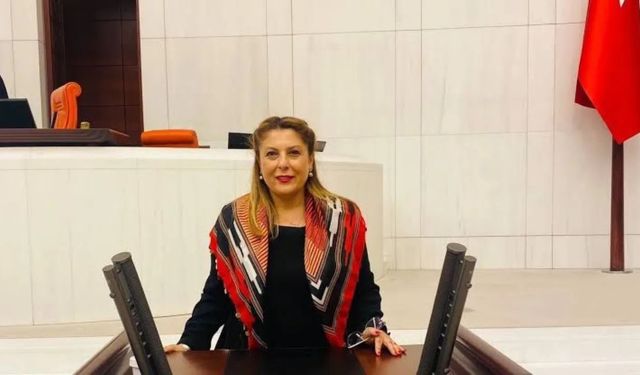 Elvan Işık Gezmiş, Giresun'un sorunlarını Meclis'e taşıyor