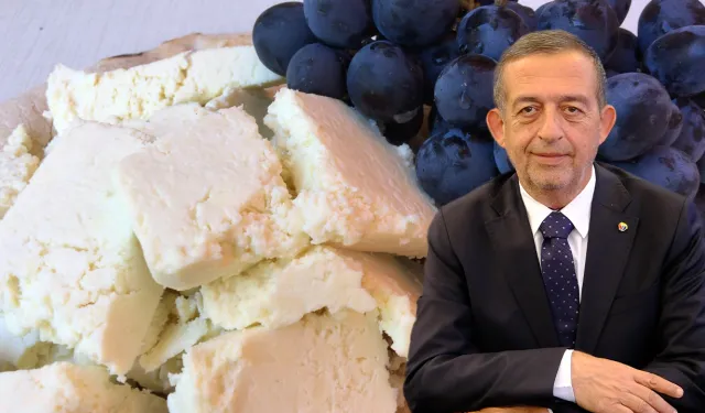 Erzincan tulum peyniri Avrupa Birliği’nde tescillendi