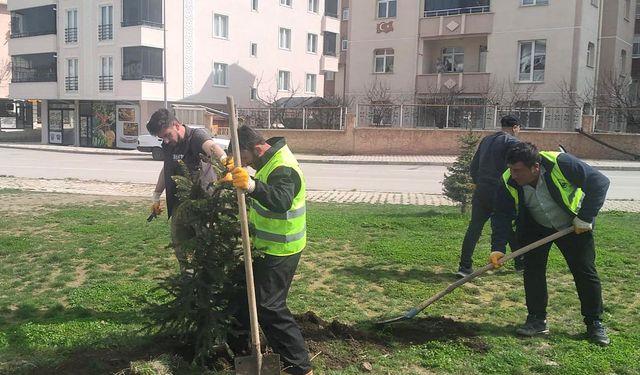 Bayburt Belediyesinden bahar mesaisi