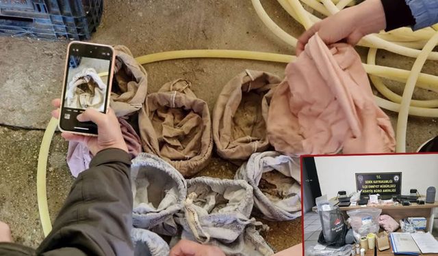 Kuş halkalama istasyonunda izinsiz biyolojik örnek topladılar