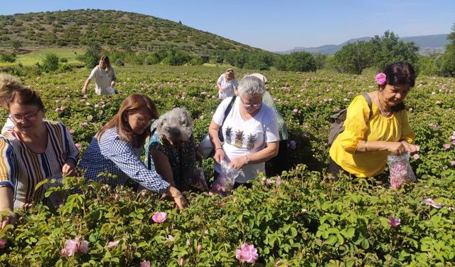 Isparta’ya gül turizminde bu yıl rekor ziyaretçi bekleniyor