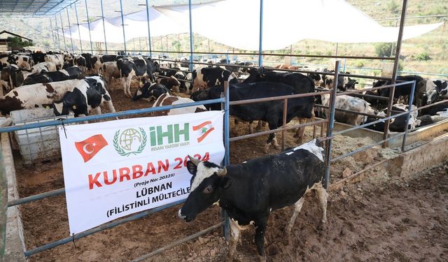 İHH Kurban Bayramı’nda 60 ülkeye ulaşmayı hedefliyor