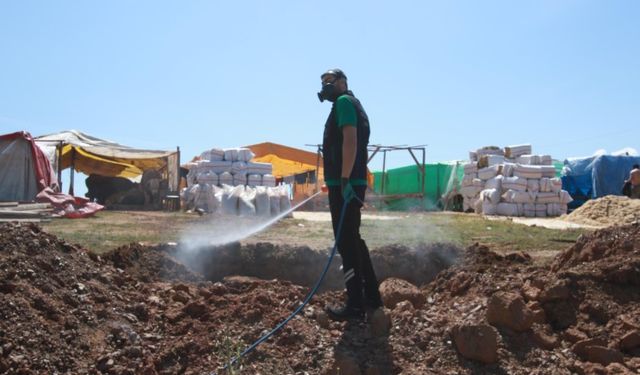 Kurban pazarlarında haşere mesaisi başladı
