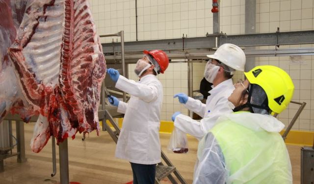 Kocaeli'de kurban kesim başvuruları 15 Mayıs’ta başlıyor