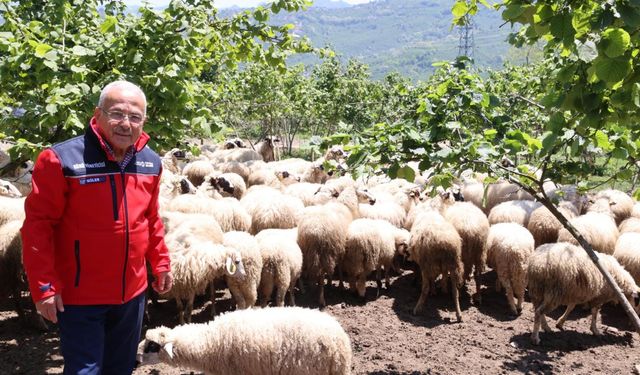 Başkan Güler: Dağıtımını yaptığımız hayvanları kendimiz yetiştiriyoruz
