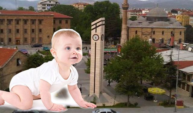 Nüfusta alarm zilleri çalıyor, Isparta doğumdan kaçıyor