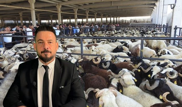 Ferit Akkurt’tan Kurbanlık seçimi ve kesim rehberi: “Kurban kesimi hijyenik, ruhsatlı alanlarda yapılmalı”