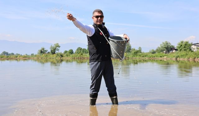 Düzce Valisi Aslan çeltik tohumu ekerek çiftçiye destek verdi