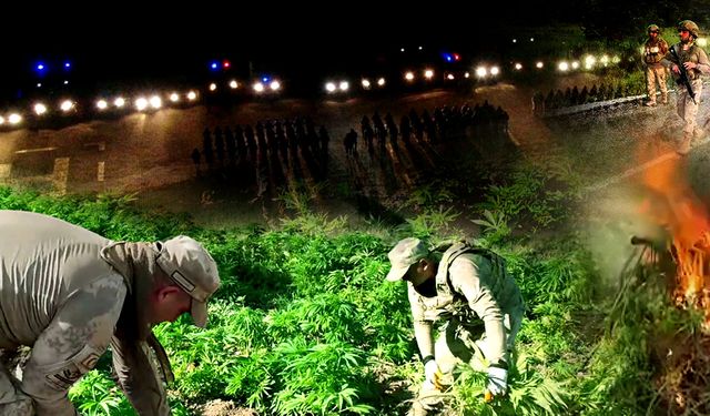 Diyarbakır'da 12 Milyon 389 Bin 174 Adet Kök Kenevir Ele Geçirildi