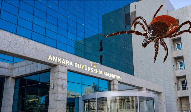 Ankara Büyükşehir’den kene uyarısı: Yeşil alanlara gidenler dikkat!