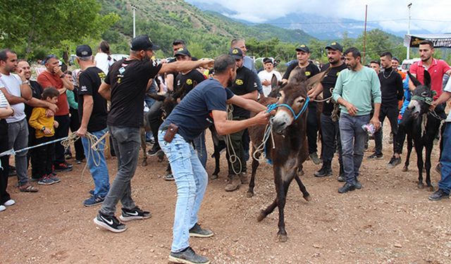 Kumluca Karacaören Şenliği:  Motokros heyecanı ve eşek yarışları renk kattı