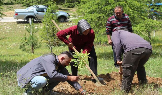 İbradı’da şehitler için fidan dikildi