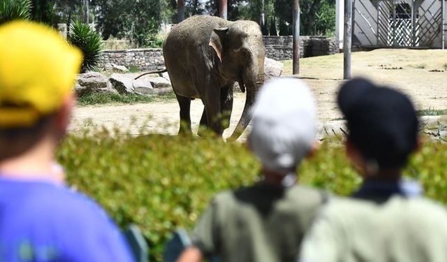 İzmir Doğal Yaşam Parkı bayramda ziyaretçileri bekliyor