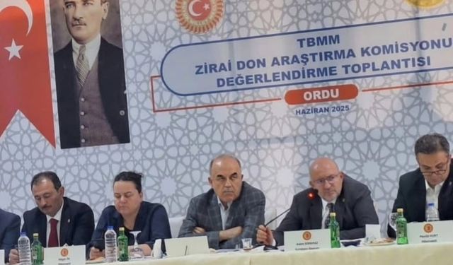 Zirai don; Fındık'ta kayıp büyük