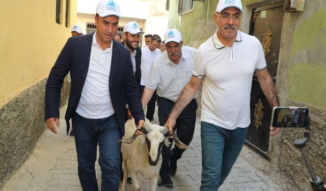 Eyyübiye Belediyesi yetim ailelere kurbanlık dağıttı