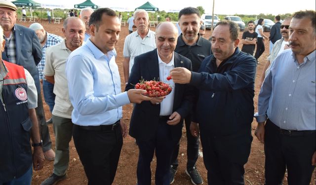 Mardin Ömerli'de doğa ve kültür buluştu