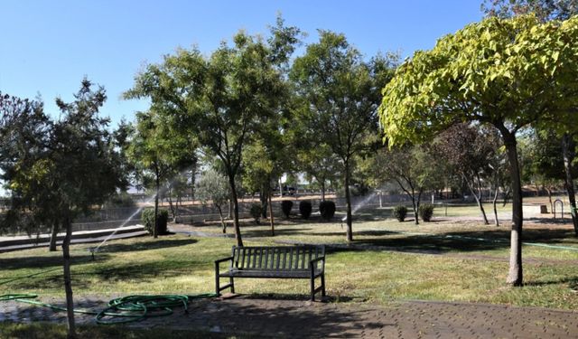 İzmir Bornova’dan 'Yeşil Dönüşüm' hamlesi