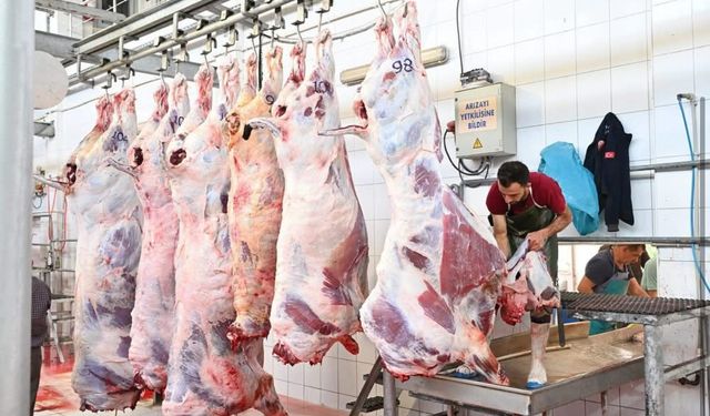 Mezbahada 250 büyükbaş kurban kesimi gerçekleştirildi