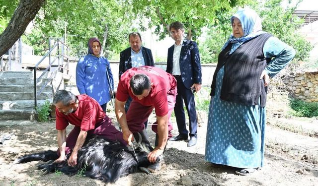 Evlere giderek tek tek kurbanları kestiler