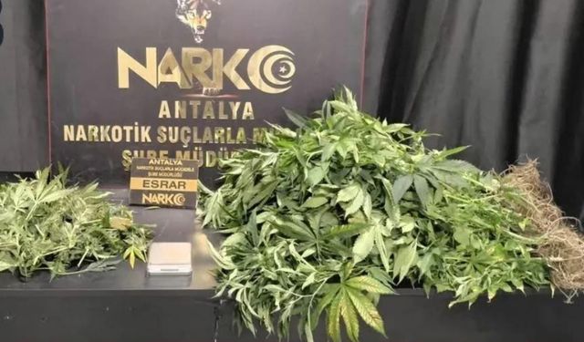 Antalya’da zehir tacirlerine darbe: 113 şüpheli gözaltında