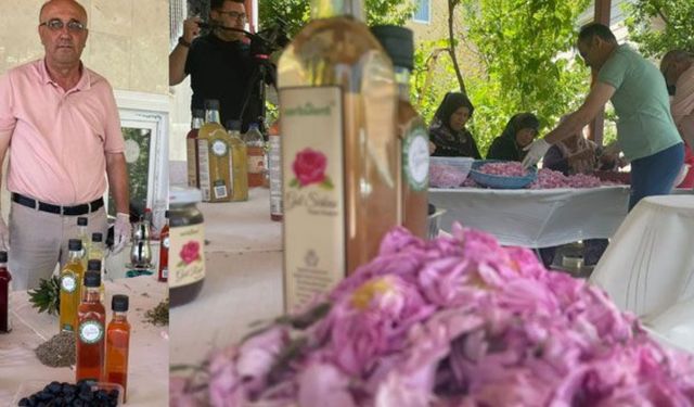 Doğada ne varsa sirke yapıyorlar