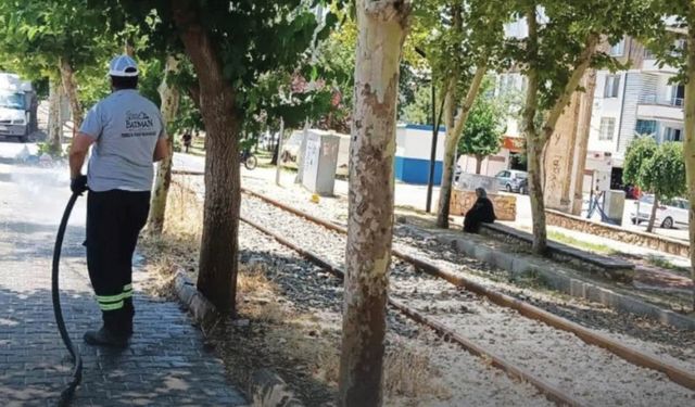 Parklar köşe bucak temizleniyor